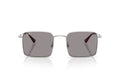 Plateado / Gris