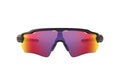 Negro / Morado